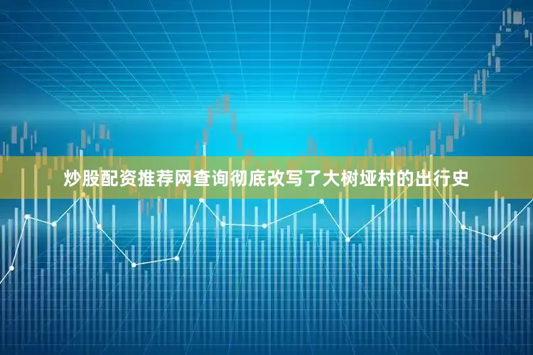 炒股配资推荐网查询彻底改写了大树垭村的出行史